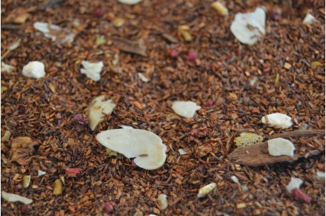 Himmlische Backstube