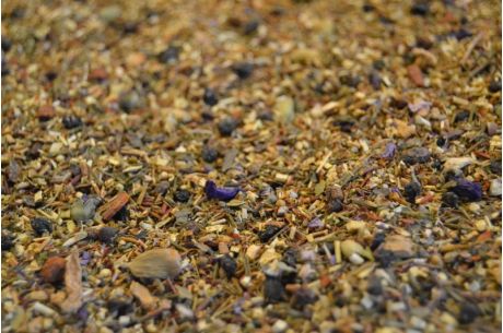 Holunderblüte - Ingwer