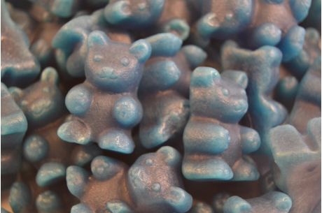 Teebären Heidelbeer - Joghurt