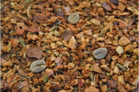 Cold Brew Eiskaffee Vanille