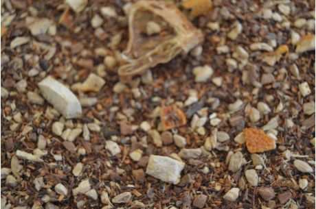 Winter Ingwer Geheimnis